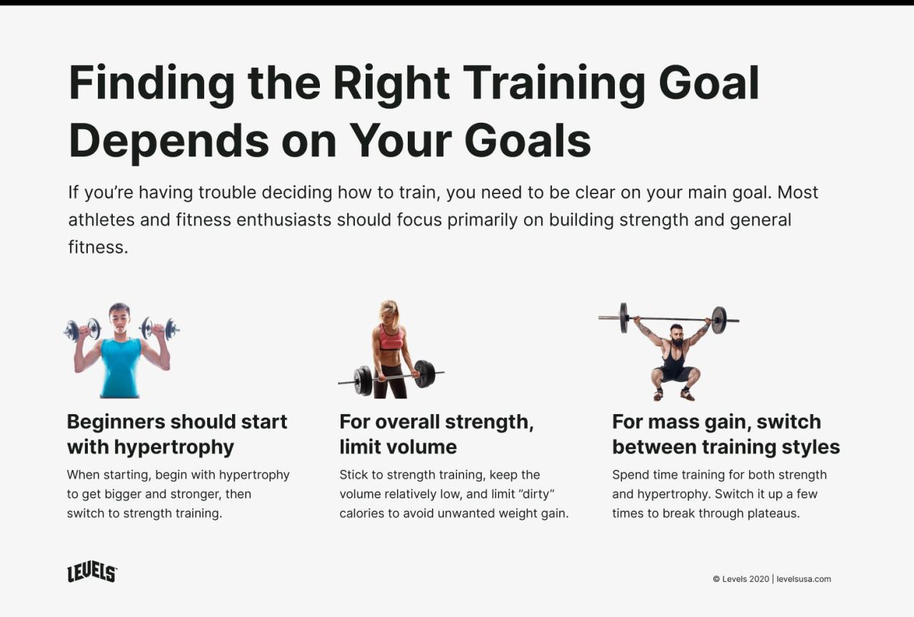 Beginner weight training routine for building strength and endurance