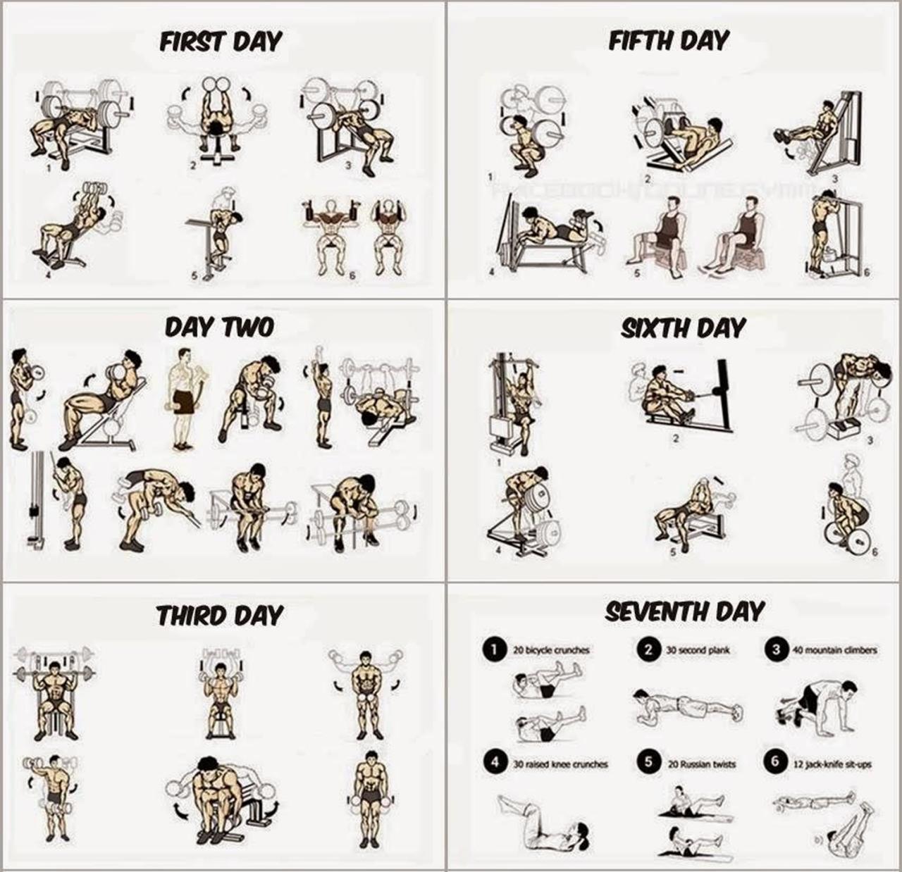 Workout gym muscle program day building beginners plan routine exercise training plans workouts body men paperblog work out full beginner