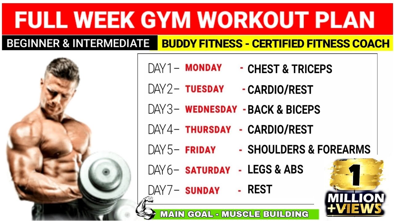 Workout gym muscle program day building beginners plan routine exercise training plans workouts body men paperblog work out full beginner Workout gym muscle program day building beginners plan routine exercise training plans workouts body men paperblog work out full beginner