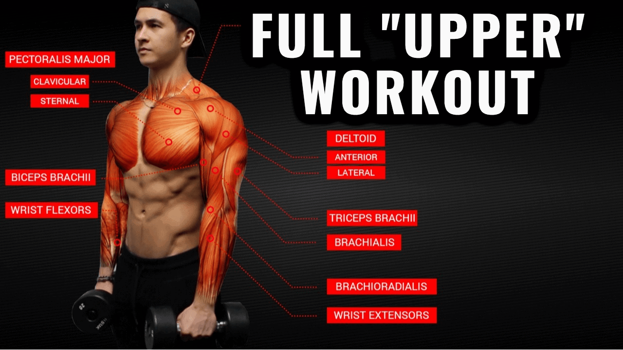 Workout exercises routine shoulders compound posture wise athlean beginners ethier routines Most effective weight training exercises for building upper body strength