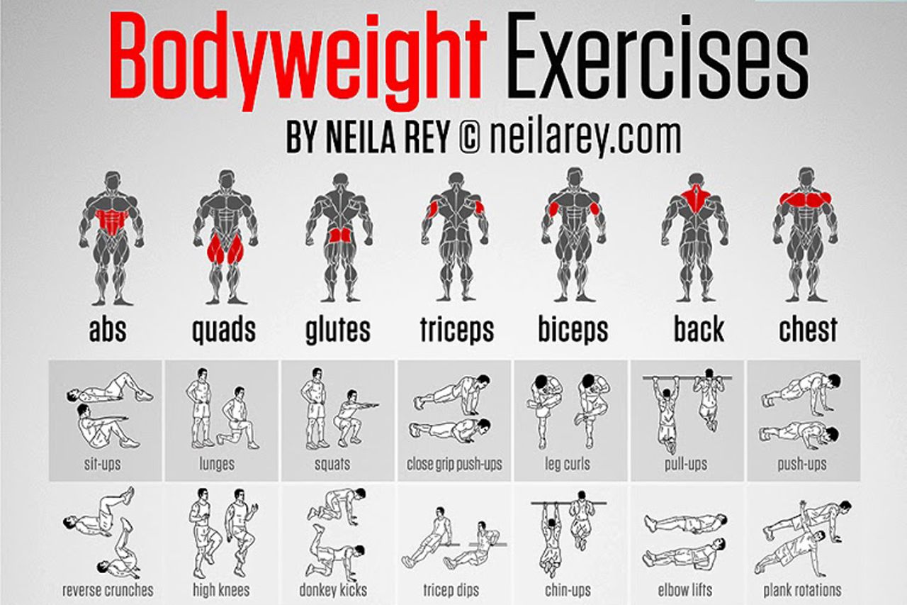 Best weight training exercises for strength and muscle building at home