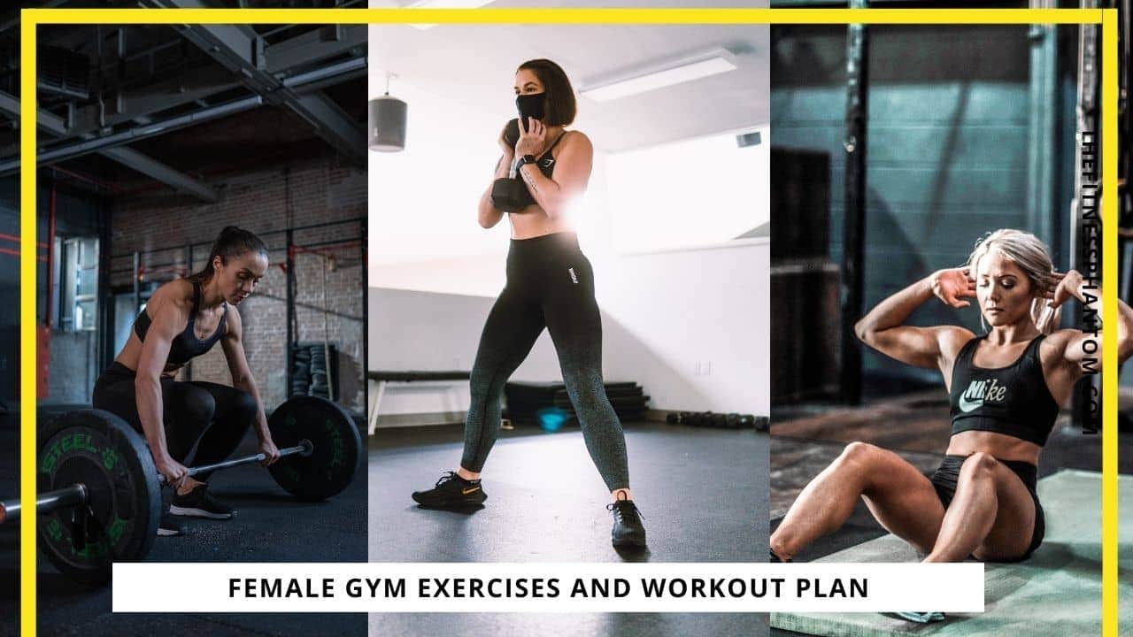 Resistance training exercises for women to build lean muscle