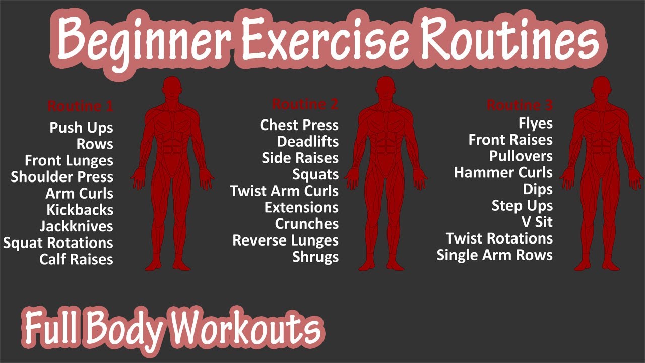 Best full body strength training workout routine for beginners