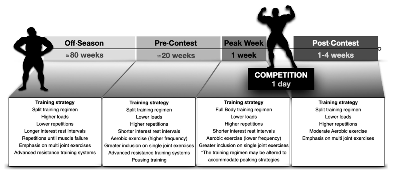 How to create a personalized weightlifting plan for strength and muscle growth